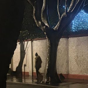 可乐（Cover-赵紫骅）