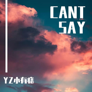 CANT SAY（Prod.by BlurryCloud）