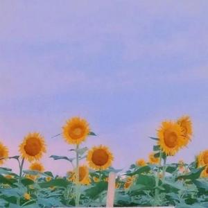 初妍 (婴儿催眠曲)