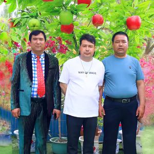 Qatma tag nahxisi (山歌）