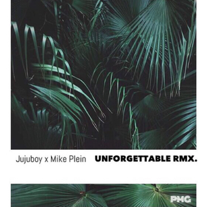 Unforgettable (Remix)