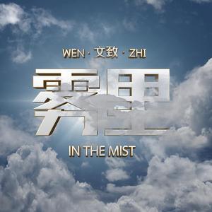 雾里-文致