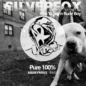 Mainline (Silverfox Sub Zero Remix)