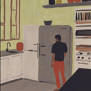 冰箱光影中的幻梦人