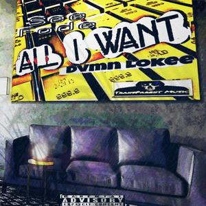 All I Want (feat. Dvmn Lokee)
