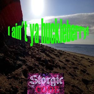 I ain't ya huckleberry