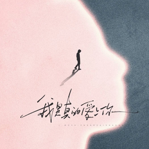 我是真的爱上你