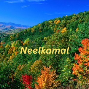 Neelkamal