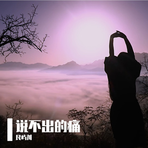说不出的痛