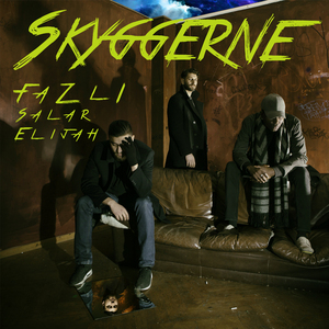 Skyggerne