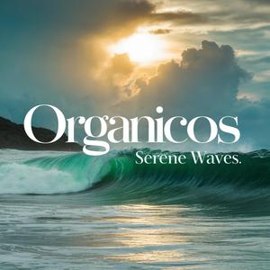 Serene Waves
