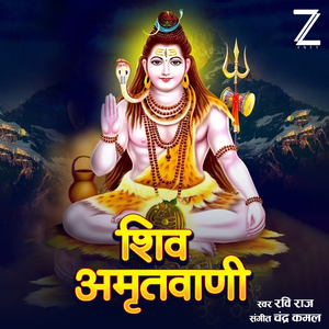 Shiv Amritwani