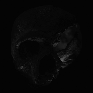 Симфоническая ебля приматов