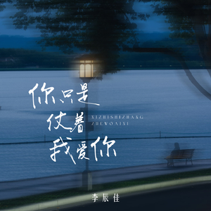 你只是仗着我爱你