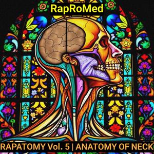 Anatomy of the Fascia and Spaces of the Neck