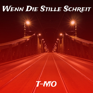 Wenn Die Stille Schreit