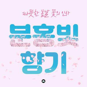 분홍빛으로 물든 꽃