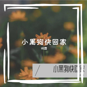小黑狗快回家
