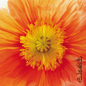 내 귀에 꽃이 피네