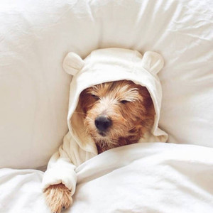 做你爱的俘虏 (DJ版)