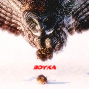 BOYKA