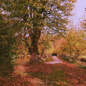 Remember the Colorful Days