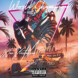 Max Verstappen The World Champion