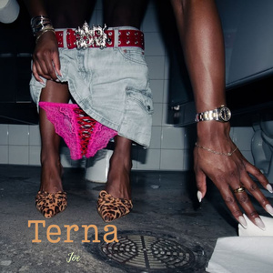 Terna
