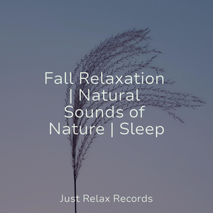 Euphonic Equilibrium