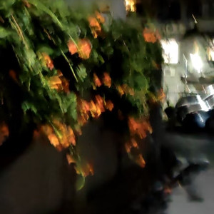 元旦游园会初审过了开心极了发现还有二审难过极了