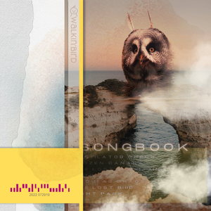 The Lost Mountain 遗失之山