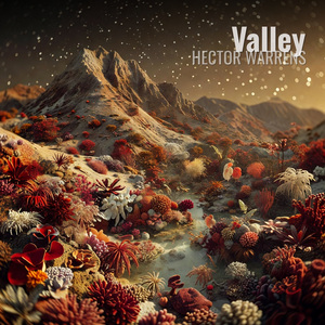 Valley