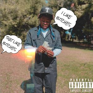 I like *****es that like *****es