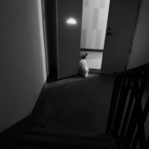 Trash boy wants it(Prod by .Lillean)