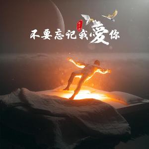 张碧晨-不要忘记我爱你（DJ版）（涛少君 remix）