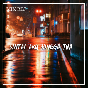 CINTAI AKU HINGGA TUA