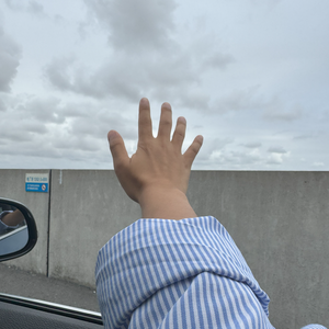 困在爱里的是笨蛋