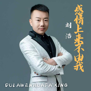 感情上来不由我（DJ版）