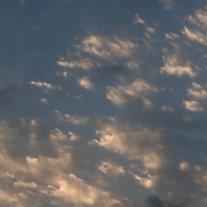 异乡的人_崔某人