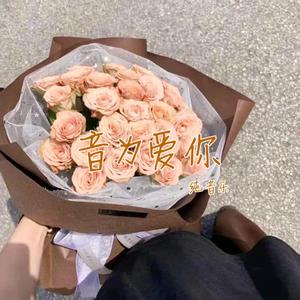 清风徐来 (Instrumental)