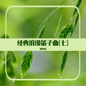 我用胡琴和你说话 (笛子曲)