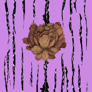 Void