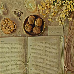 GROCERY STORE WORKER