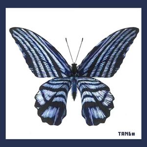 滚『TAN6#』青春