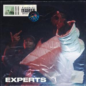 Experts