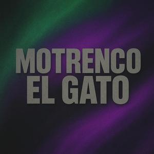 Motrenco el gato