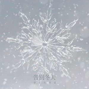 烟花绽放