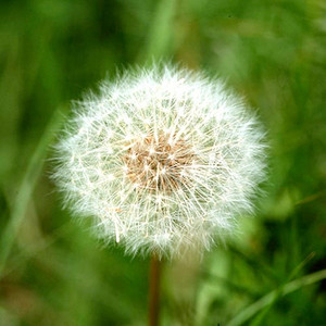 Hreyfihugleiðsla - 30 mínútur