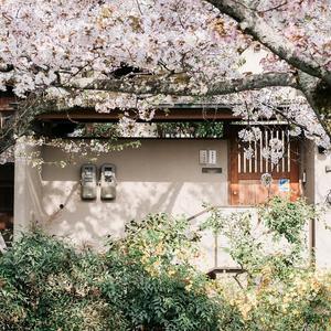 从今天起，做一个幸福的人