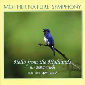 草原の静かな朝-オオルリ-